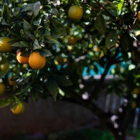 Florit Flats - The Orange Lemon Tree House Villa ลา เอเลียนา ภายนอก รูปภาพ