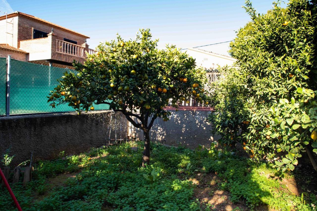 Florit Flats - The Orange Lemon Tree House Villa ลา เอเลียนา ภายนอก รูปภาพ